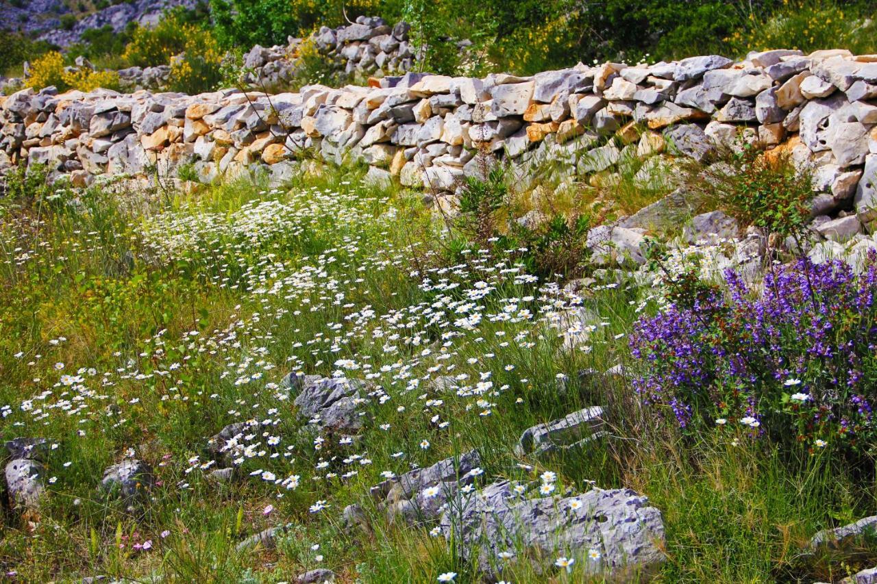 Villa Zlatno Sunce In The Hills Near Trogir Vrsine Exteriör bild