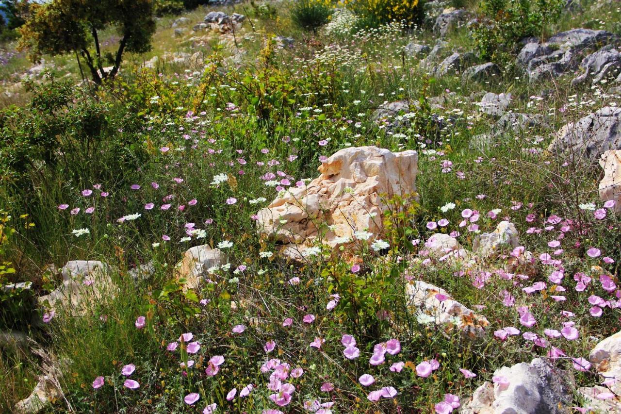 Villa Zlatno Sunce In The Hills Near Trogir Vrsine Exteriör bild